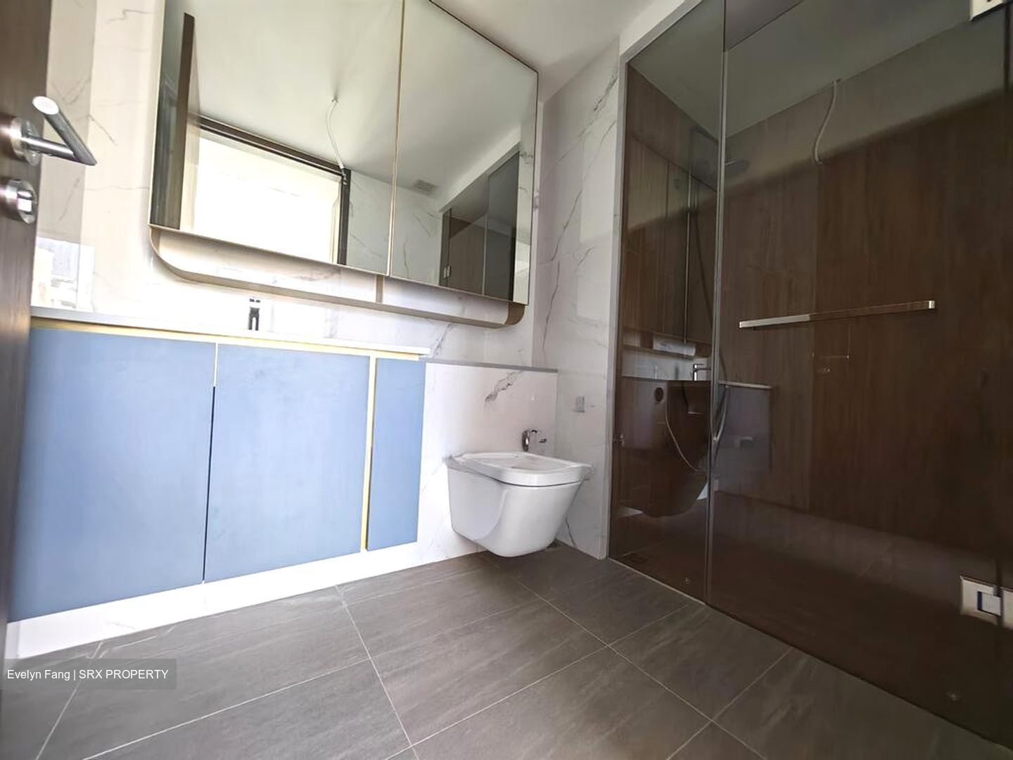 Amo Residence (D20), Apartment #509426221
